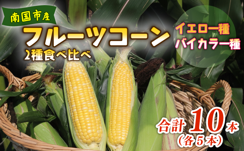 【2027年先行予約】南国フルーツコーン 2種食べ比べ 10本（イエロー種、バイカラー種、各5本）| とうもろこし トウモロコシ コーン スイートコーン フルーツとうもろこし もぎたて 新鮮 朝採れ 