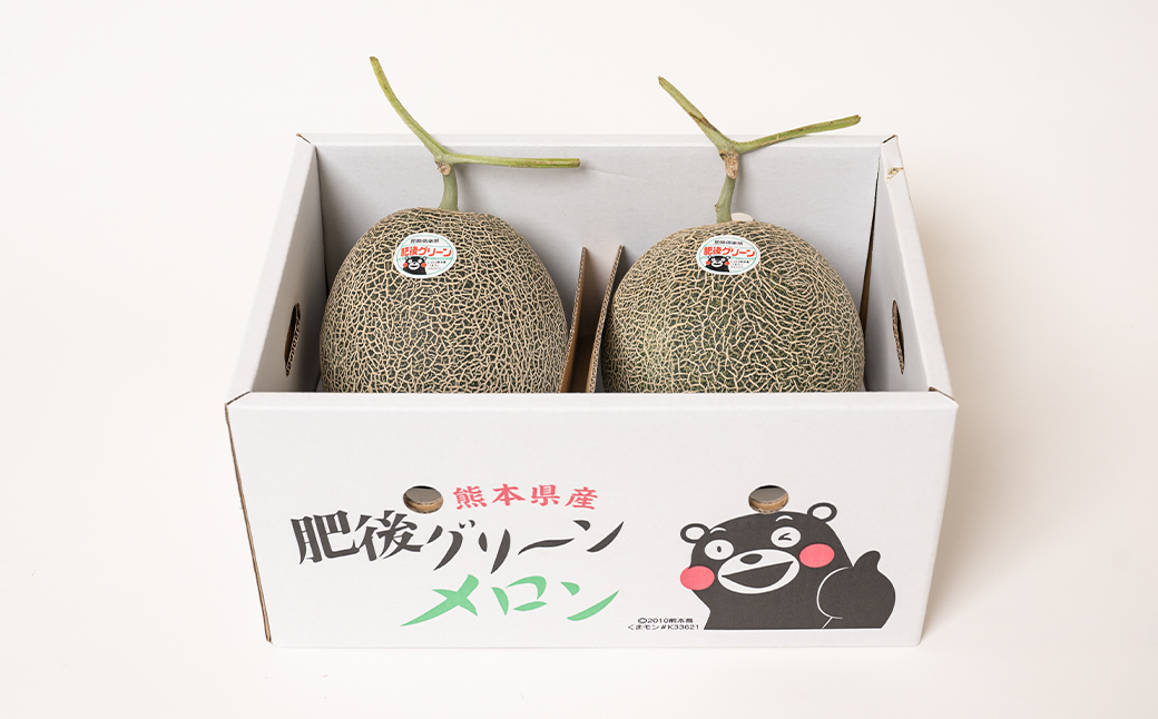 【先行予約】 熊本県産 肥後グリーンメロン 2玉 (1玉1.8kg～2.2kg) メロン 果物 フルーツ 【2025年6月上旬より順次発送】