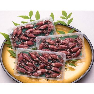 ふるさと納税 射水市 【2026年3月中旬以降発送】富山産ボイルホタルイカ360g(120g×3)