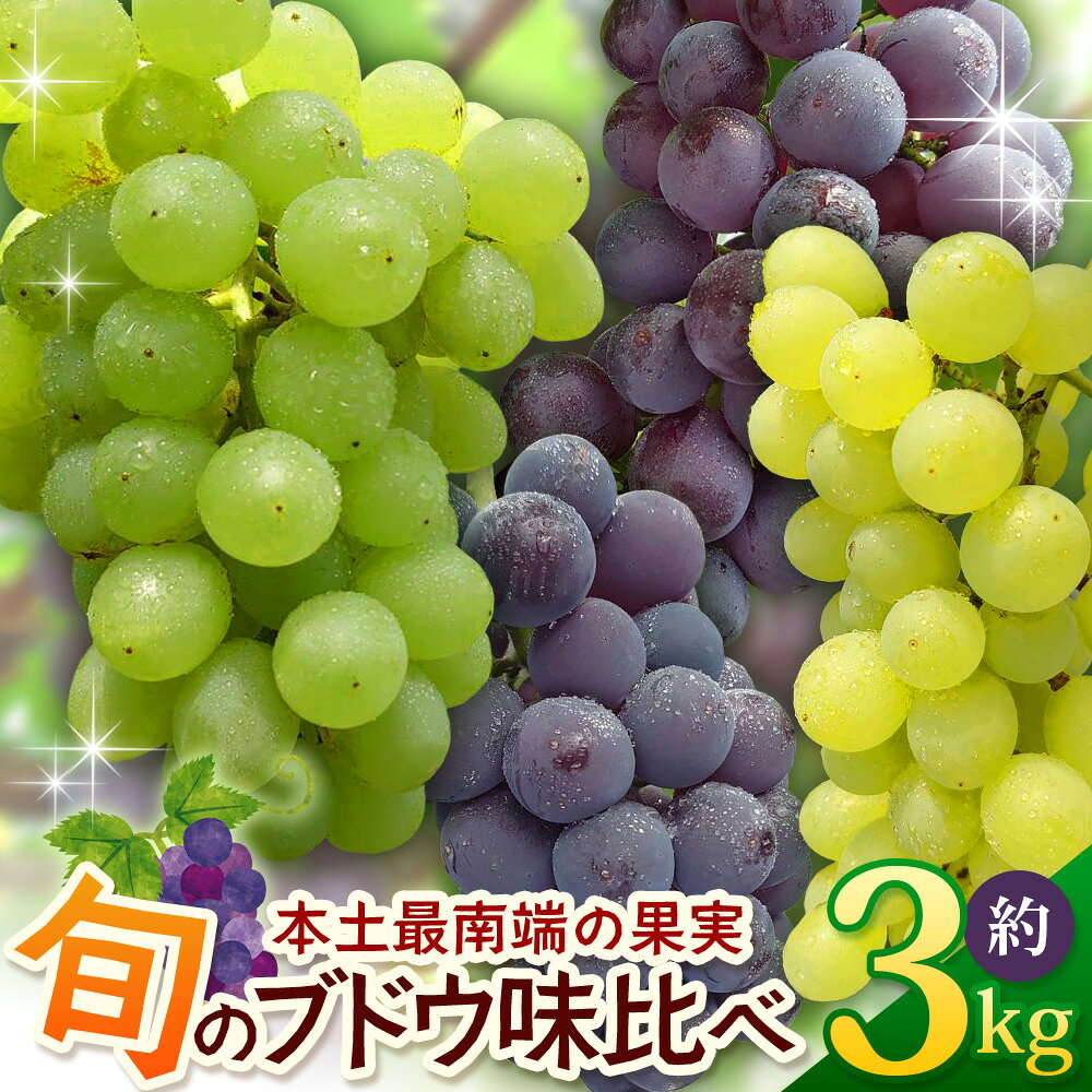 【ふるさと納税】【期間限定!数量限定!】2026年7月下旬発送 旬のブドウ味くらべ約3kg (6～7房) TE710｜産地直送 旬 ブドウ 葡萄 ぶどう フルーツ 果物 くだもの 果実 食べ比べ 鹿児島県 南大隅町 有限会社ティエラ　