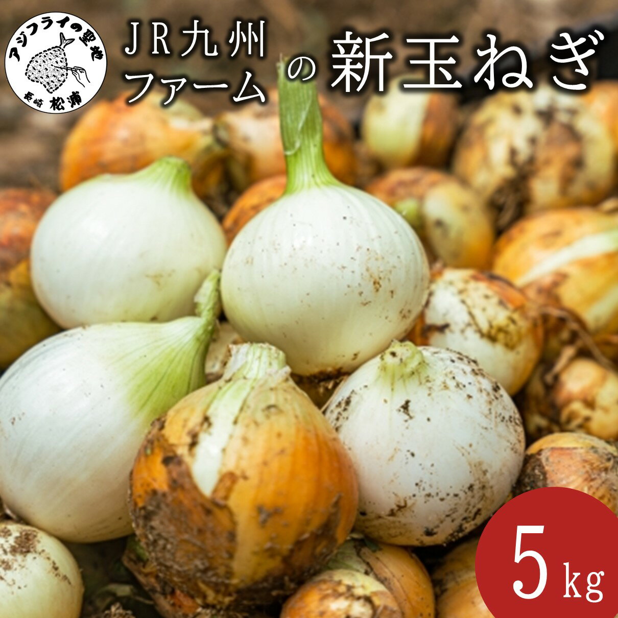 【ふるさと納税】JR九州ファームの 新玉ねぎ 5kg【B0-265】