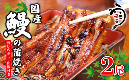 国産鰻の蒲焼き 2尾 うなぎ ウナギ 鰻 うなぎ うなぎ うなぎ 