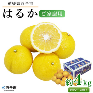 先行予約＜愛媛県西予市産 はるか ご家庭用 約4kg＞約15〜30個入 訳あり 果物 フルーツ みかん ミカン オレンジ 柑橘 食べて応援 特産品 愛媛県 西予市【常温】『2024年2月中旬〜4月下旬迄に順次出荷予定』UUB0017