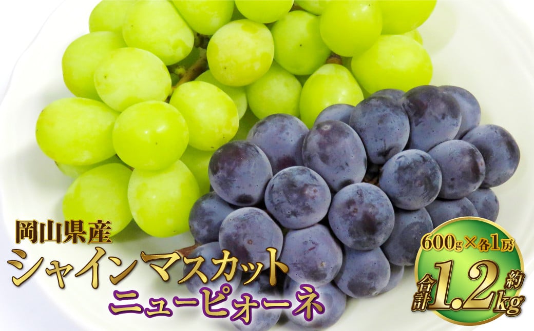 
            岡山県産 シャインマスカット 晴王・ニューピオーネ 3Lサイズ 計約1.2kg 詰合せ 【2025年6月下旬～7月下旬発送予定】 各1房 マスカット ピオーネ ぶどう 葡萄 ブドウ 種なし セット
          