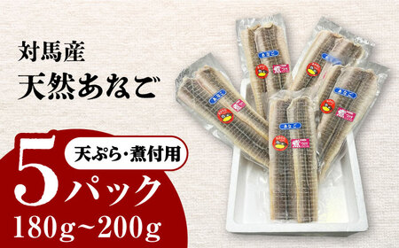 対馬産　あなご　天ぷら・煮付用　5パック　《対馬市》【対馬新鮮組】　冷凍配送　小分け　アナゴ　新鮮　海鮮　冷凍 簡単調理[WCS011]