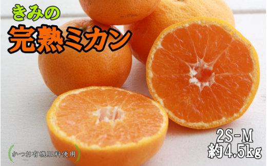 
あま～い！ カツオの有機肥料が味の決め手！ 「きみの完熟ミカン」 約4.5kg(40~60個程度) サイズ混合 2S~M ご家庭用(秀優混合)/みかん ミカン 柑橘 和歌山県 有機 手選別
