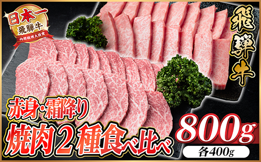 飛騨牛　赤身・霜降り焼肉2種食べ比べセット(ヒレ・三角バラカルビ)　計800g(各400g)タレ付き【配送不可地域：離島】【1745788】