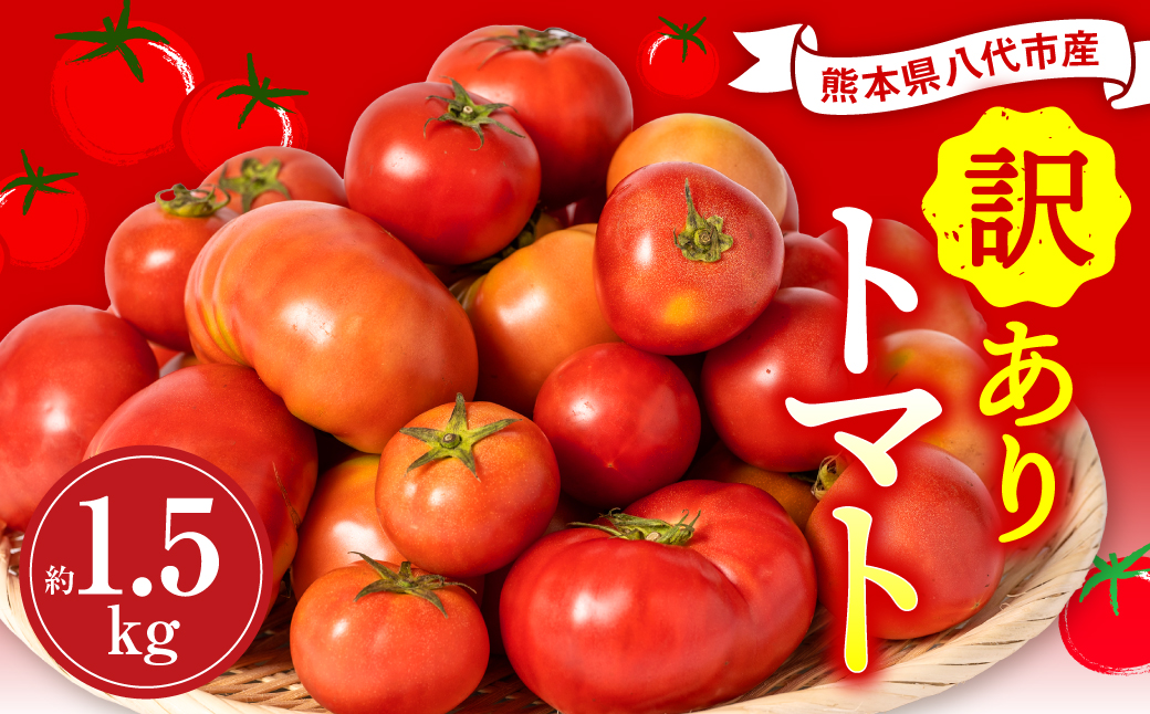 【先行予約】【訳あり】 八代市産 規格外トマト 約1.5kg 熊本県 八代市 特産品 規格外 トマト 野菜 やさい 新鮮 とまと 【2026年4月中旬より順次発送】