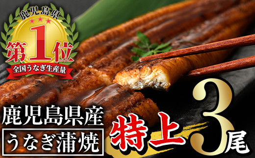 無投薬！鹿児島県産うなぎ蒲焼セット＜特上＞(計480g以上・ 160g以上×3尾) タレ・山椒付き 鰻 ウナギ 国産【西日本養鰻】A506-v01