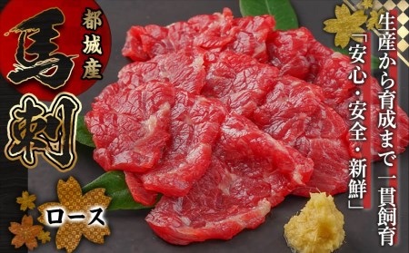 都城産馬ロースブロック300g_AC-0111_(都城市) 馬刺 桜肉 都城産馬刺 真空 ロースブロック 150g×2