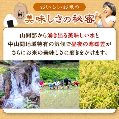 ふるさと納税 京丹後市 2025年産 京都・久美浜産 特別栽培米コシヒカリ 精米 3kg(1.5kg×2袋) 農家直送 お米 |  | 02