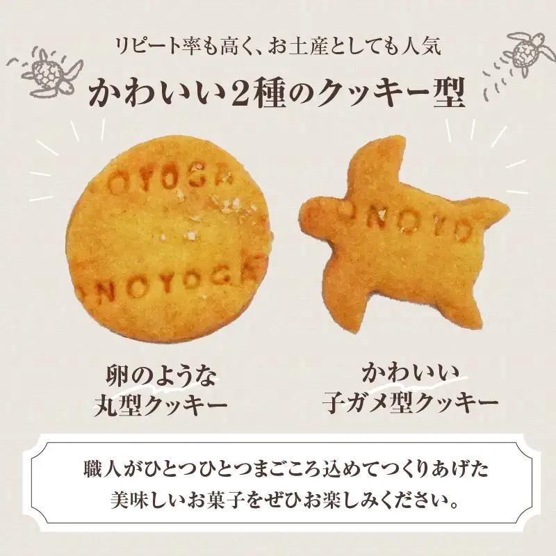 海がめ塩クッキー充実BOX (57枚+子がめクッキー3枚) 箱入り J01018