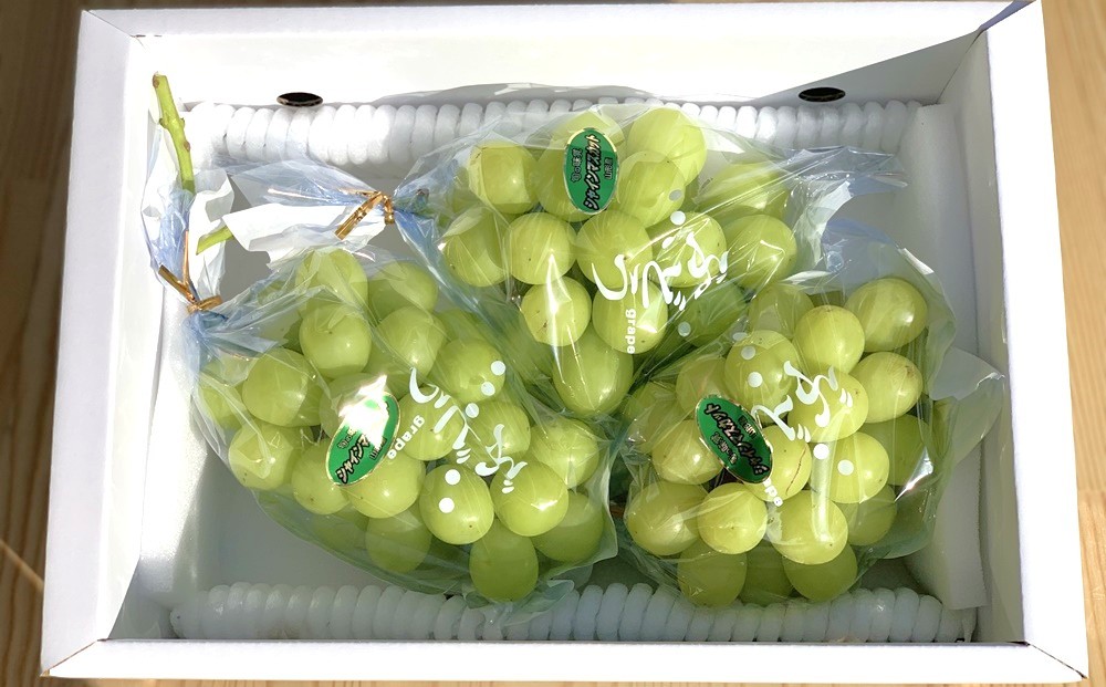 
                  【定期便：全２回】＜ご家庭用＞シャインマスカット１.５ｋｇとラ・フランス３ｋｇ　0049-2602
                