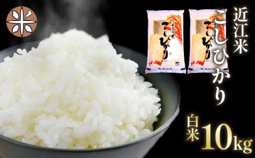 令和7年産 白米 10㎏ こしひかり 5kg × 2袋 精米 近江米 コシヒカリ 国産 お米 米 おこめ ごはん ご飯 白飯 しろめし こめ ゴハン 御飯 滋賀県産 竜王 ふるさと ランキング 人気 おすすめ