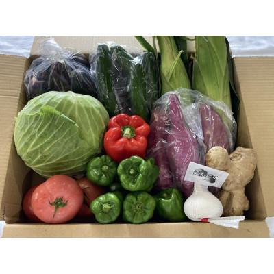 ふるさと納税 由良町 季節の新鮮野菜・果物セット(10種以上)