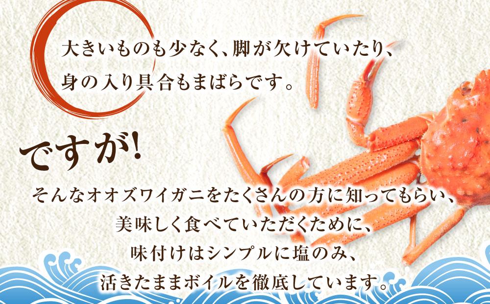 「訳あり」オオズワイガニボイル　4尾　合計約1.8kg