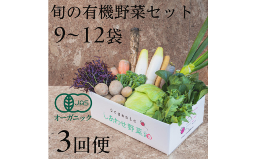 ＜毎月定期便＞しあわせ野菜畑の有機野菜　Lセット　(安心の有機JAS認証　オーガニック野菜)全3回【4066011】