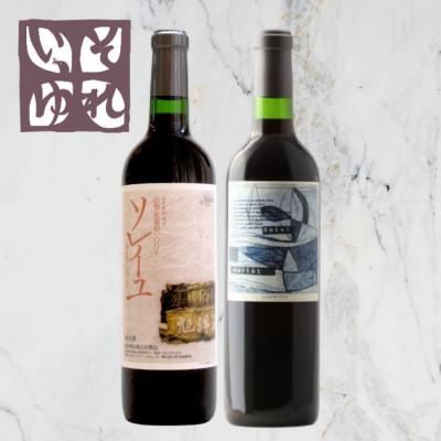 ふるさと納税 山梨市 旭洋酒　ソレイユ・クラシック　赤/それいゆメルロー　720ml×2本セット
