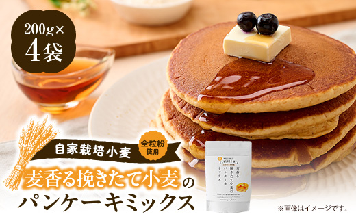 
                  挽きたて小麦のパンケーキミックス【1744606】
                