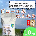 【ふるさと納税】【玄米】九代目又七のピロール農法米はえぬき10kg（令和6年産新米予約）