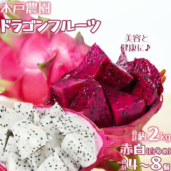 【ふるさと納税】 木戸農園のドラゴンフルーツ 計約2kg（赤白 合計4~8個 白多め） 計約2kg 先行予約 果物 南国 フルーツ ピタヤ 美容 健康 栄養 カリウム ポリフェノール 抗酸化 ＜113-010＞