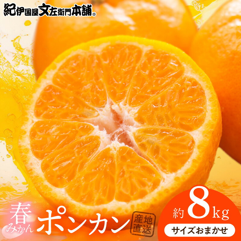 【ふるさと納税】【2027年先行予約】ポンカン 約8kg 和歌山県有田産 春みかん (果実サイズおまかせ) 春みかん 紀伊国屋文左衛門本舗