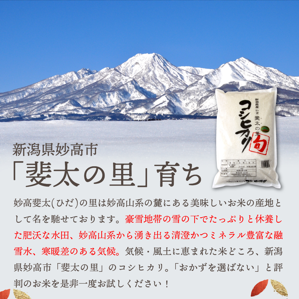 2025年3月中旬発送【令和6年産米】新潟県妙高産斐太の里コシヒカリ「旬」5kg　