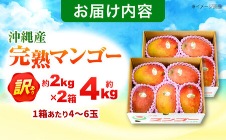 【先行予約 2026年発送 予約受付】 訳あり 完熟マンゴー 約4kg (約2kg×2箱) マンゴー 沖縄 果物 フルーツ ギフト 沖縄市 / ちゃんぷる～市場[BCAA007]