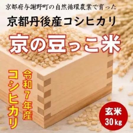 【ふるなびWEEK対象】令和7年 京都府産「京の豆っこ米」 玄米30kg　おいしい丹後のコシヒカリ　農家直送【1715124】