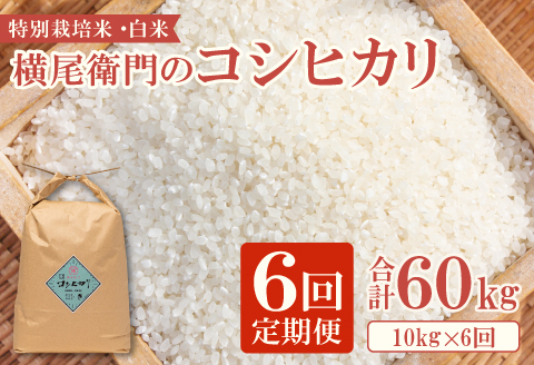 D-1113 【定期便】横尾衛門のコシヒカリ 白米 10kg×6回コース【 新米 定期便 定期 6回 米 お米 白米 精米 特別栽培米 低農薬 低化学肥料 ブランド米 コシヒカリ 10kg×6回 合計60kg】