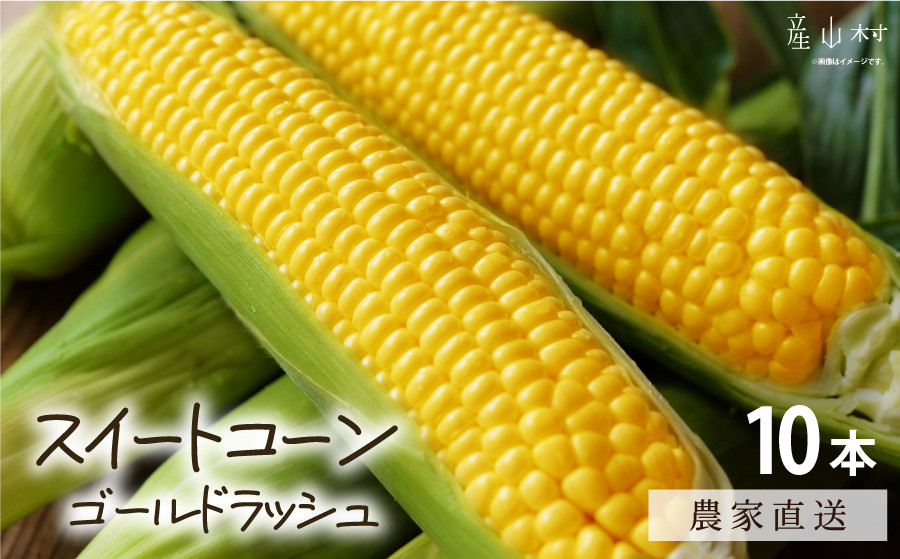 
            《先行受付開始》産地直送 とうもろこし 朝採れ スイートコーン ゴールドラッシュ 10本セット 特大 熊本 阿蘇 産山村トウモロコシ ギフト 今が旬 コーン 旬 お取り寄せ 人気 大人気 贈答《2026年7月中旬-8月中旬出荷》
          