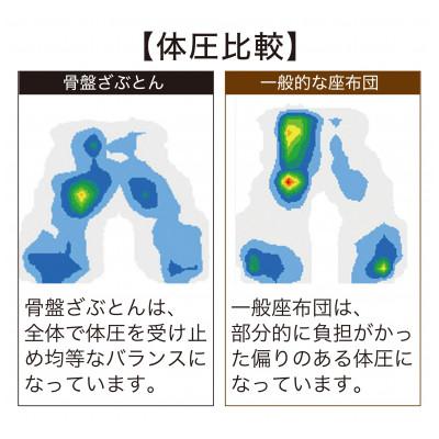 ふるさと納税 東大阪市 【人間工学/正しい姿勢・骨盤サポート】　骨盤ざぶとん　カラー:ワインレッド |  | 03