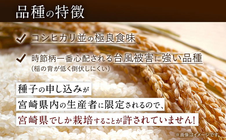 【無洗米】 ＜チャック付＞ 新米 国産 令和8年産 夏の笑み 10kg 宮崎県産 お米 白米 おすすめ 簡単 ご飯 弁当 精米 おにぎり