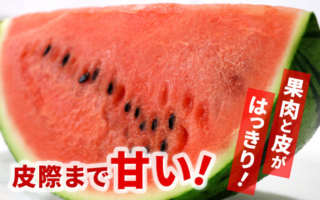 【先行予約】大玉スイカ「夏の天使」 1玉入 （L～2L）抜群の糖度で甘い！／ 期間限定 果物 フルーツ 西瓜 産地直送 ※2025年7月中旬より順次発送 [aw003-a002]