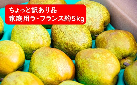 
            【令和7年産先行予約】 〈訳あり品 家庭用〉 ちょっと訳あり ラ・フランス 約5kg (14～18玉 2～4L) 《令和7年11月～発送》 『たけひさ農園』 ラフランス 西洋梨 洋なし 果物 フルーツ デザート 山形県 南陽市 [1089]
          
