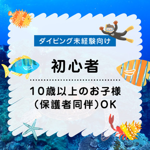 体験 ダイビング 2本コース C051-006 自然 体験ダイビング 旅行 初心者 海 マリーンスポーツ シードリーム沖永良部 ふるさと納税 知名町 おすすめ ランキング プレゼント ギフト