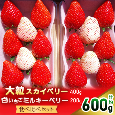 大粒スカイベリー 白いちごミルキーベリー 食べ比べセット【配送不可地域：離島】【1360988】