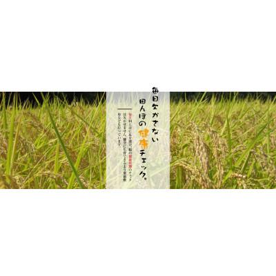 ふるさと納税 津南町 令和4年産　魚沼産こしひかり　【ダイヤモンド褒賞受賞(※)特別栽培米】5kg×4袋 |  | 03