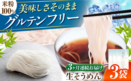 【3回定期便】　（【グルテンフリー】 細くてもしっかりコシ！ 米粉生そうめん グルテンフリー そうめん 米粉 岐阜市 / 小林生麺[ANGM020]