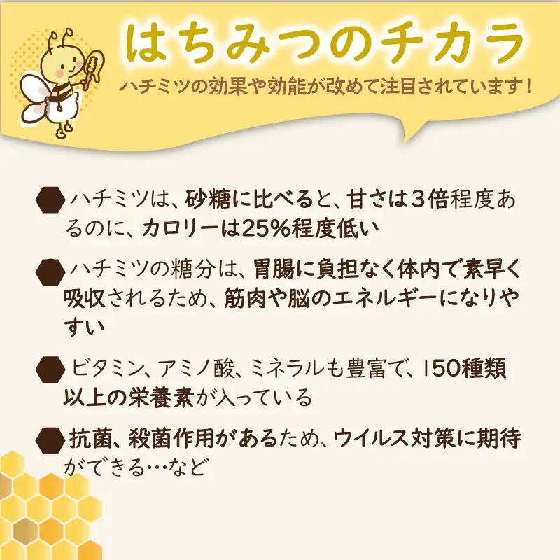 国産巣密200g｜コムハニー 純粋天然生はちみつ ハチミツ