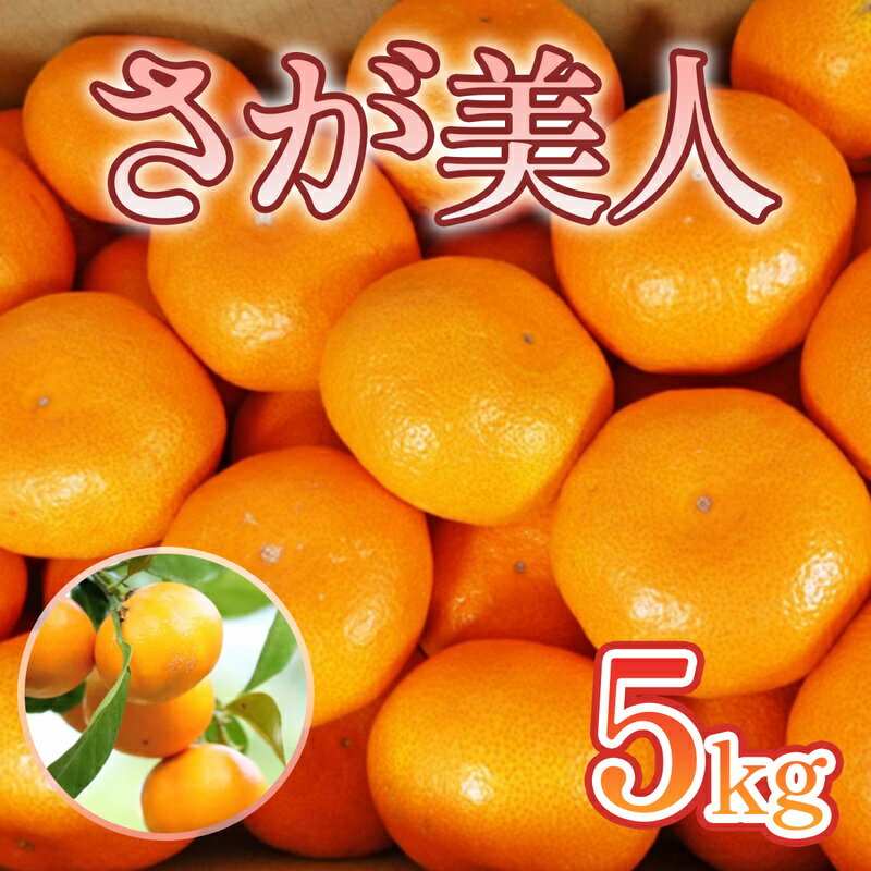 【ふるさと納税】みかん さが美人 5kg 果物 フルーツ ミカン デザート ※配送不可:離島　お届け：2026年11月上旬～12月中旬まで