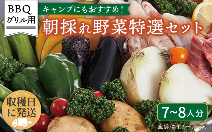
            ☆キャンプにもおすすめ☆バーベキュー・グリル用朝採れ野菜特選セット【福岡県糸島産】(7〜8人分) 糸島市 / オーガニックナガミツファーム 野菜 詰め合わせ         [AGE039]
          