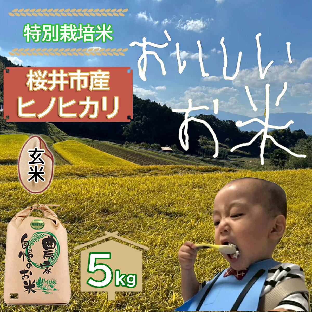【ふるさと納税】＜特別栽培米＞桜井市高家産 ヒノヒカリ 5kg(玄米)／ブランド米 玄米 白米 奈良県産 桜井市産 奈良のお米 ひのひかり 藤本農園