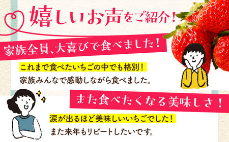 【先行予約】【1〜2月発送】王様のいちご（さがほのか）400g HAF014] いちご 果物 フルーツ