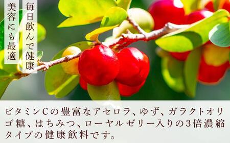 創業明治26年 老舗「内子・森文」おいしい酢卵木箱セット（360ml×3本）【食品 加工食品 人気 おすすめ 送料無料】