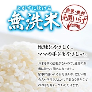SD0247　令和7年産【無洗米】庄内産 はえぬき　10kg(5kg×2袋) SA