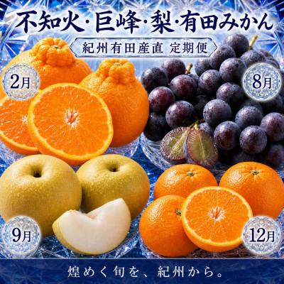 ふるさと納税 有田川町 【発送月固定定期便】紀州和歌山産旬のフルーツセット(巨峰・梨・みかん・不知火)全4回
