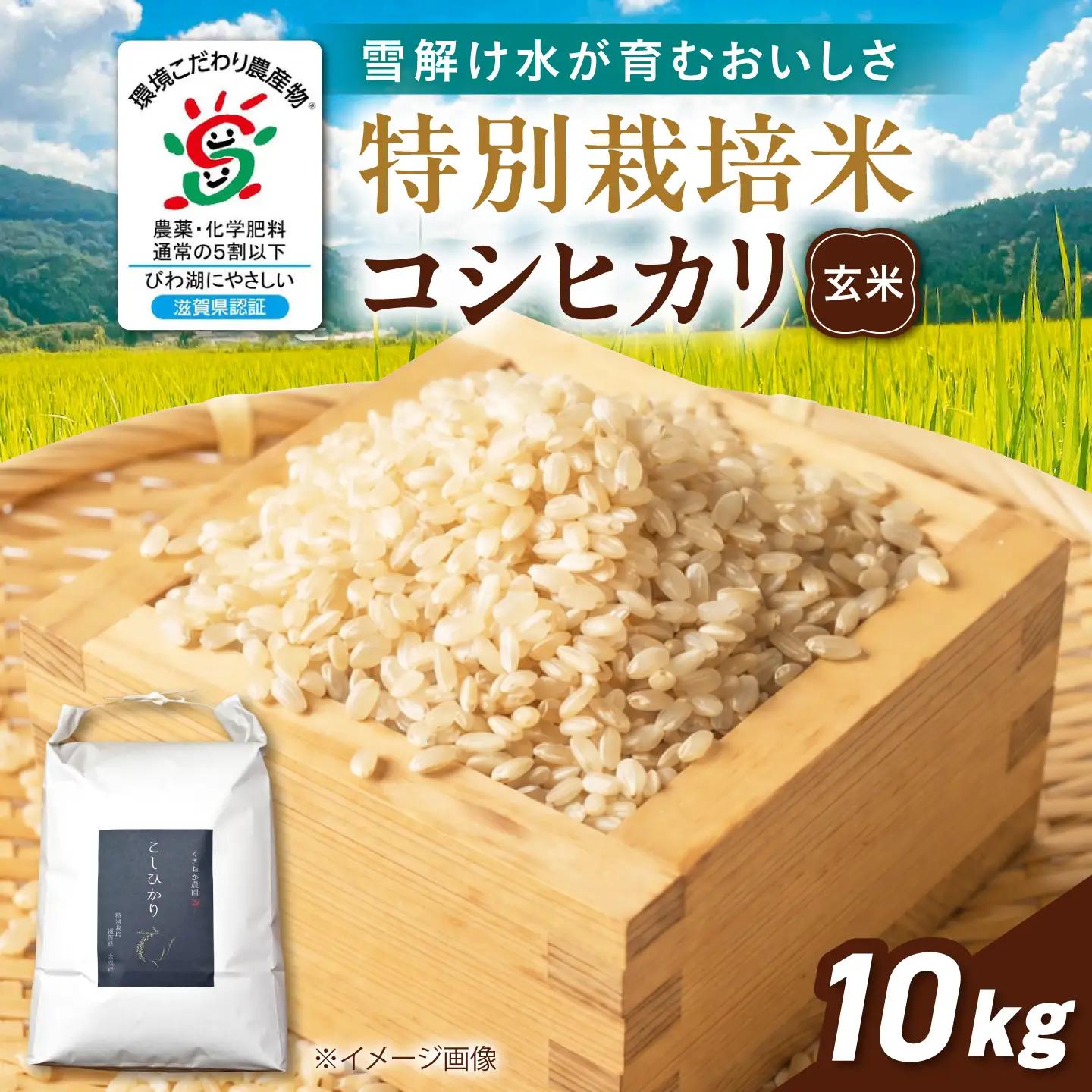 玄米 特別栽培米コシヒカリ10kg[AQEB006] 玄米
