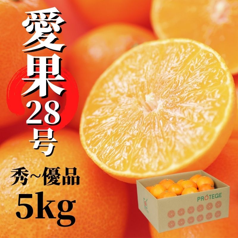 【ふるさと納税】 愛果28号 (紅まどんな と同品種) 約5kg 秀品~優品 【2026年12月頃から順次発送】 | 愛果28号 まどんな 柑橘 みかん 果物 くだもの フルーツ おすすめ 高級 人気 お取り寄せ グルメ ギフト 期間限定 数量限定 ご当地 愛媛県 松山市