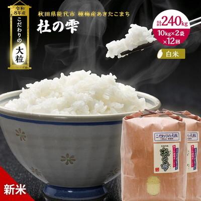 ふるさと納税 能代市 先行予約 新米 定期便12ヶ月 あきたこまち 20kg 計240kg[No.5335-1587]